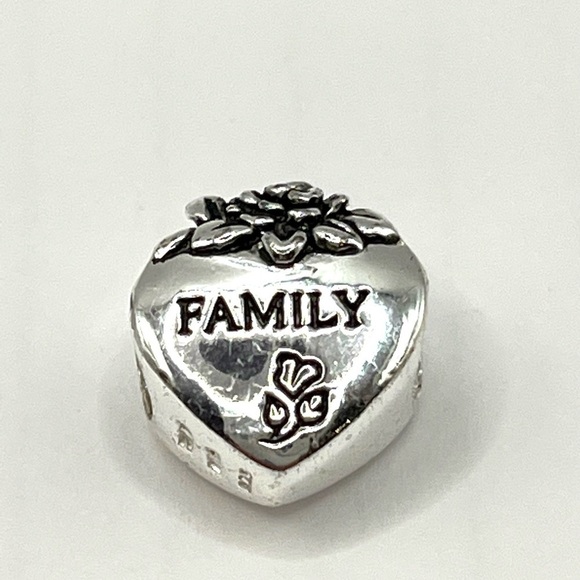 FAMILY Heart love charm Slide style charm! 925  SS European Style Special - Picture 2 of 6